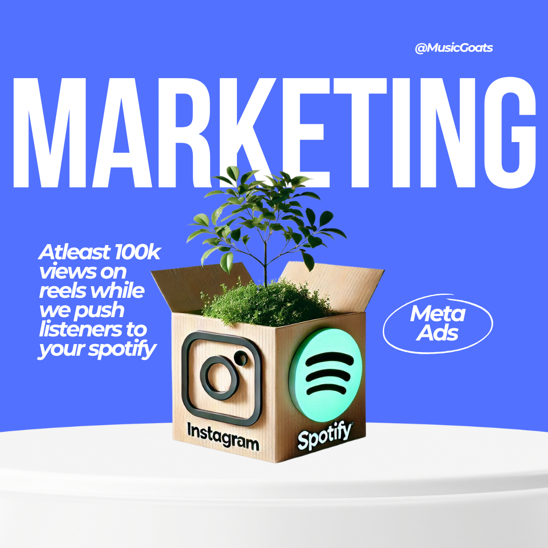 Meta Ads voor Spotify & Instagram Groei